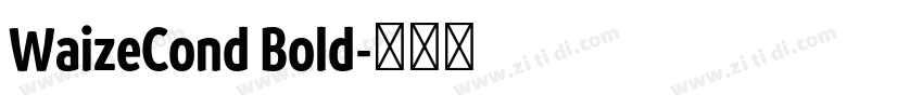 WaizeCond Bold字体转换